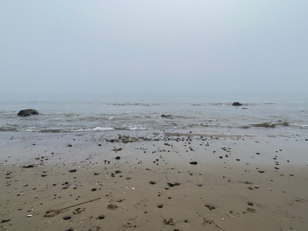 Mist over Hendry’s Beach, Oct. 6, Santa Barbara, Calif. The fog conceals an endless sea, with endless gyres and fluctuations brewing her waters in the untold millions. We can only dream of what lurks further beneath. 