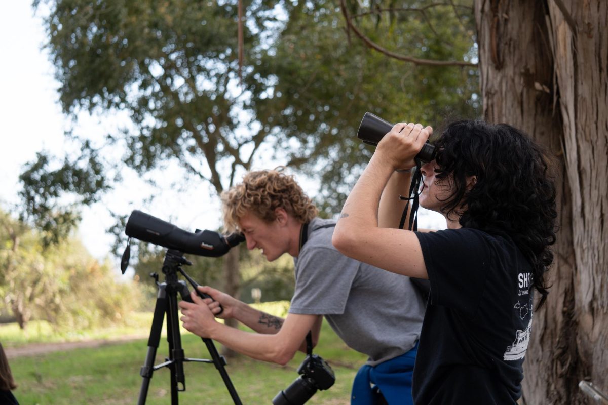 Biology Club members Melow Mich (front) and Steen Unsworth (back) look through binoculars and a monoscope to get a glimpse of a Red-Tailed Hawk perched in a tree Feb. 28 2025 at Douglas Family Preserve in Santa Barbara Calif.